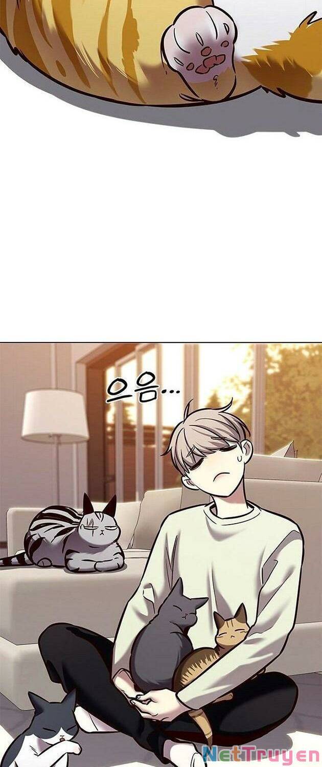 Hoá Thân Thành Mèo Chapter 225 - Trang 2