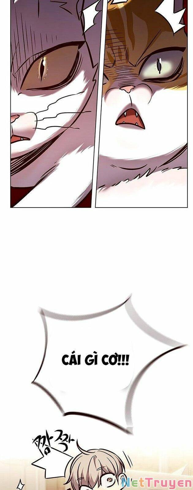 Hoá Thân Thành Mèo Chapter 225 - Trang 2