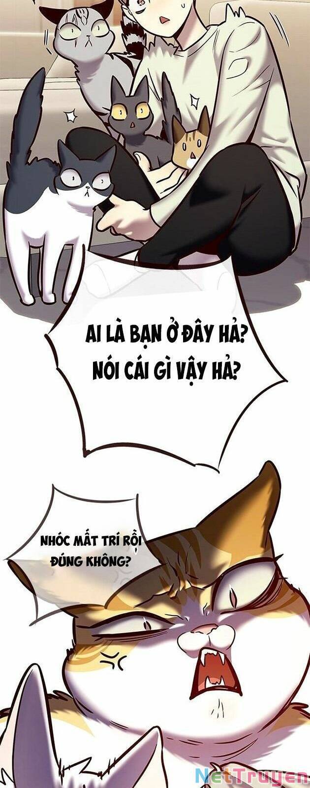 Hoá Thân Thành Mèo Chapter 225 - Trang 2
