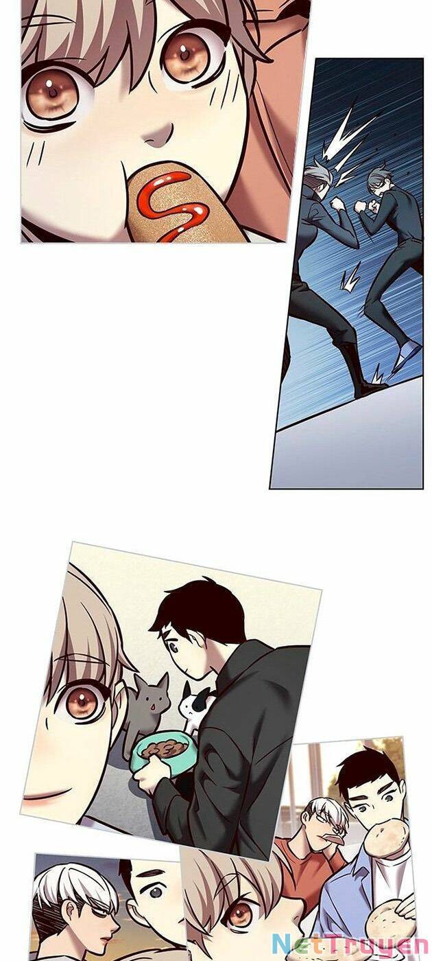 Hoá Thân Thành Mèo Chapter 225 - Trang 2