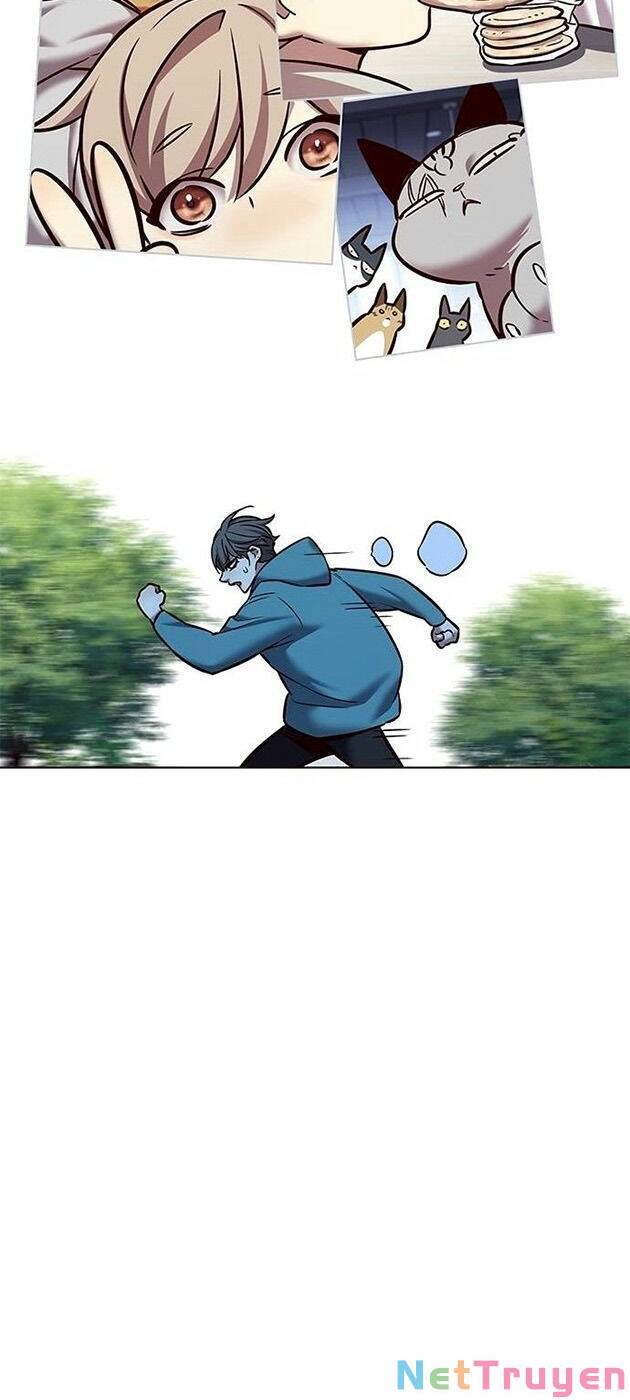 Hoá Thân Thành Mèo Chapter 225 - Trang 2