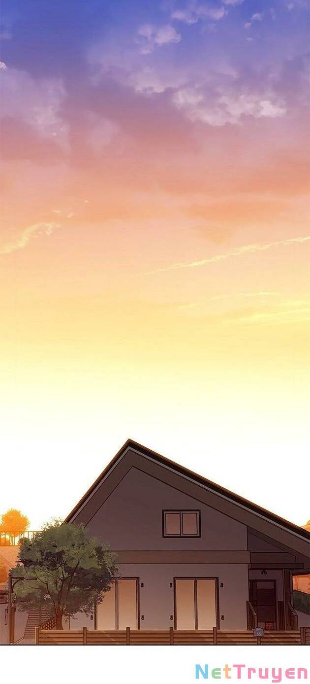 Hoá Thân Thành Mèo Chapter 226 - Trang 2