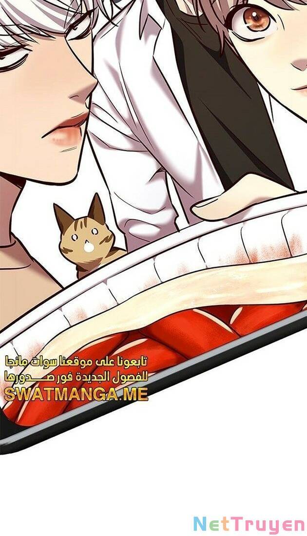 Hoá Thân Thành Mèo Chapter 226 - Trang 2