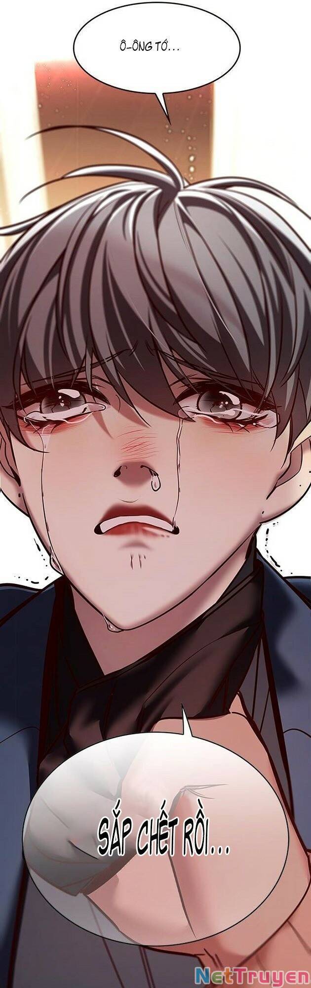 Hoá Thân Thành Mèo Chapter 226 - Trang 2