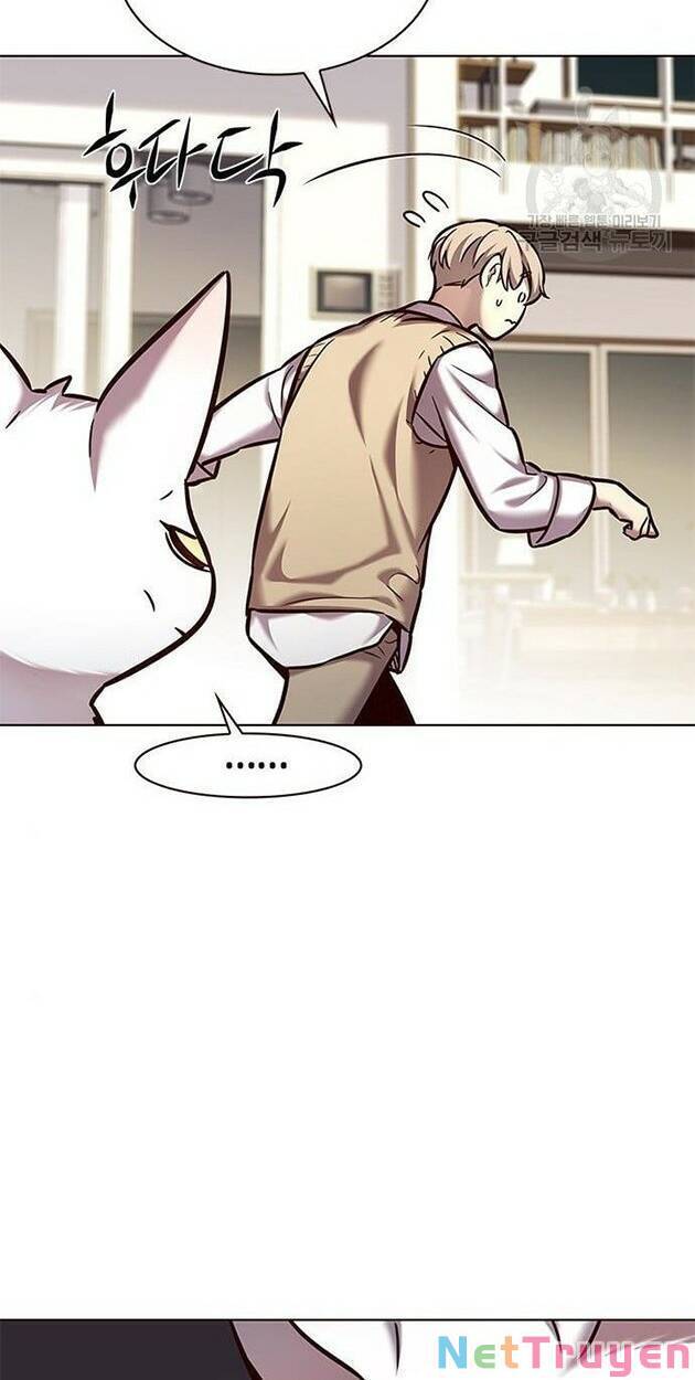 Hoá Thân Thành Mèo Chapter 228 - Trang 2