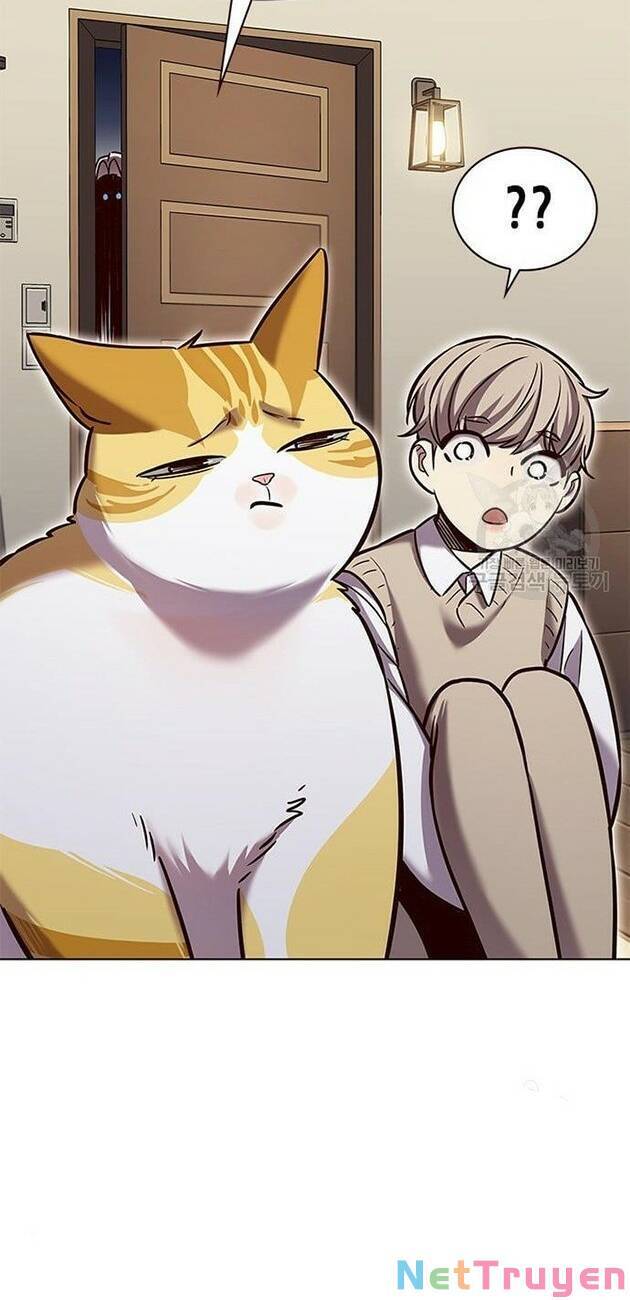 Hoá Thân Thành Mèo Chapter 228 - Trang 2