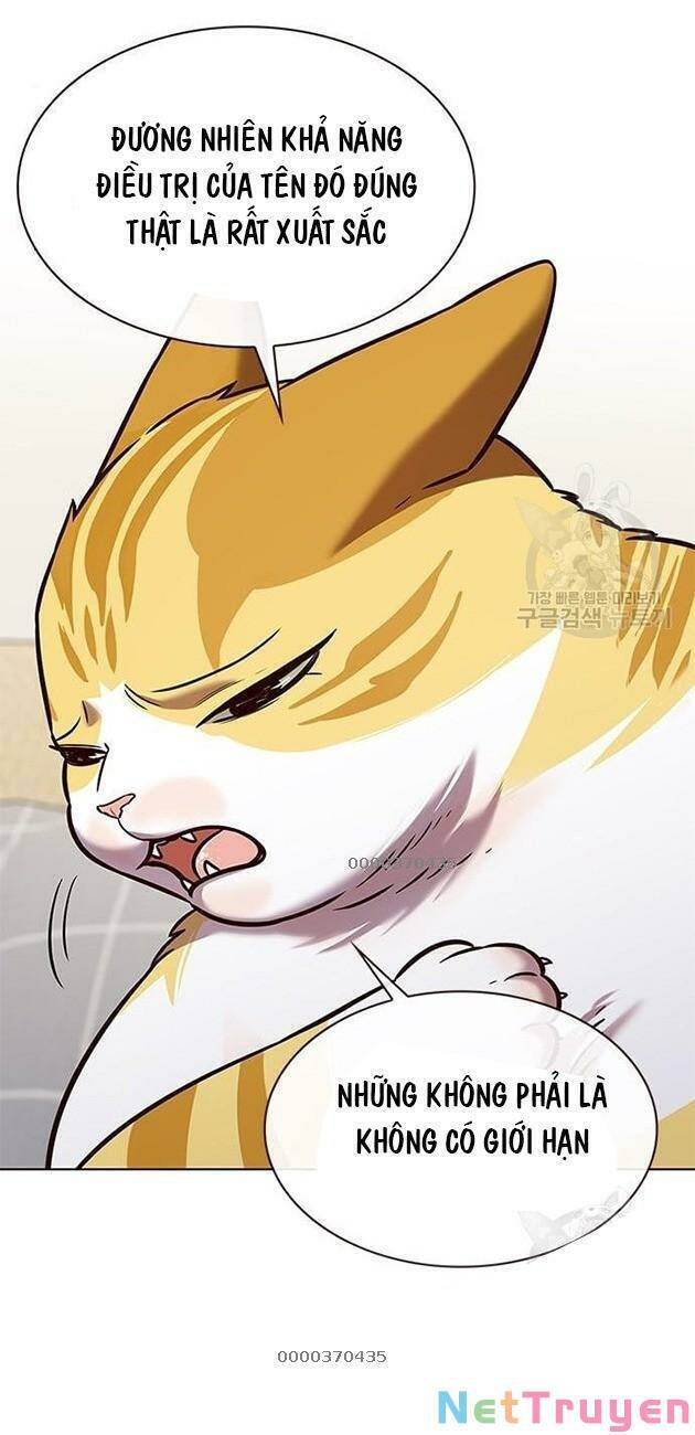 Hoá Thân Thành Mèo Chapter 228 - Trang 2