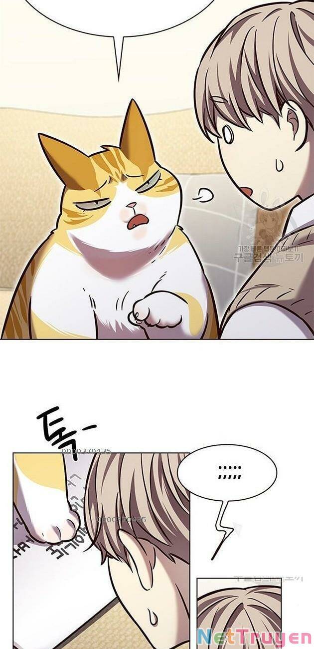 Hoá Thân Thành Mèo Chapter 228 - Trang 2