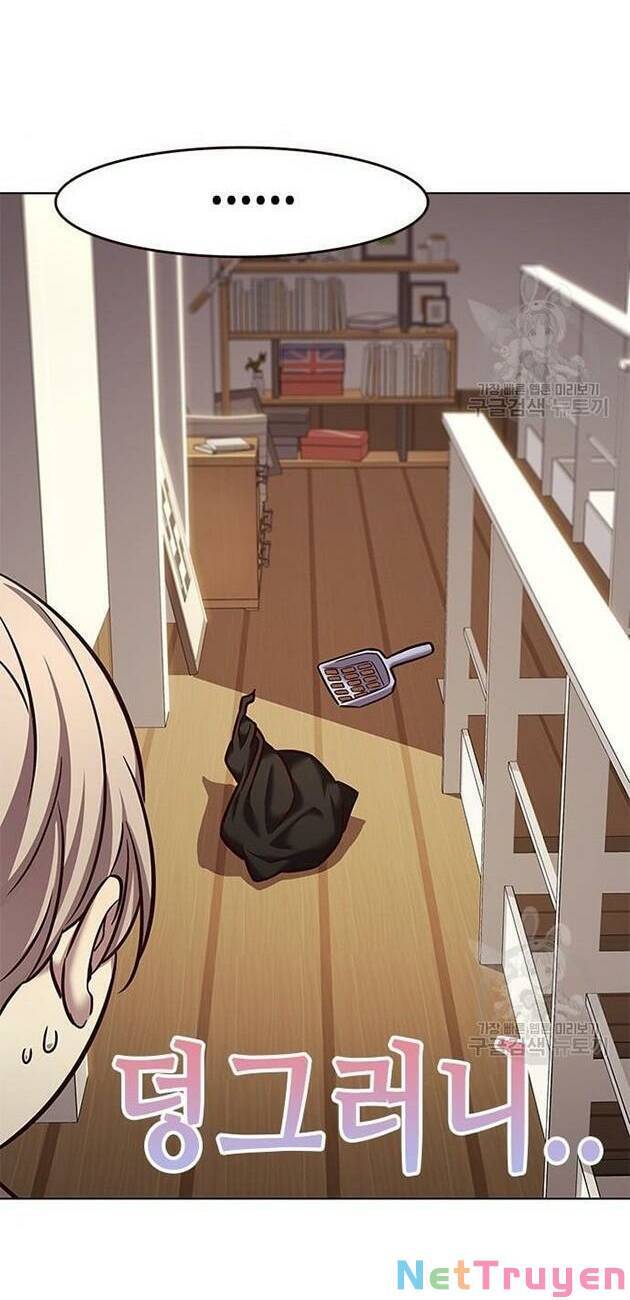 Hoá Thân Thành Mèo Chapter 228 - Trang 2