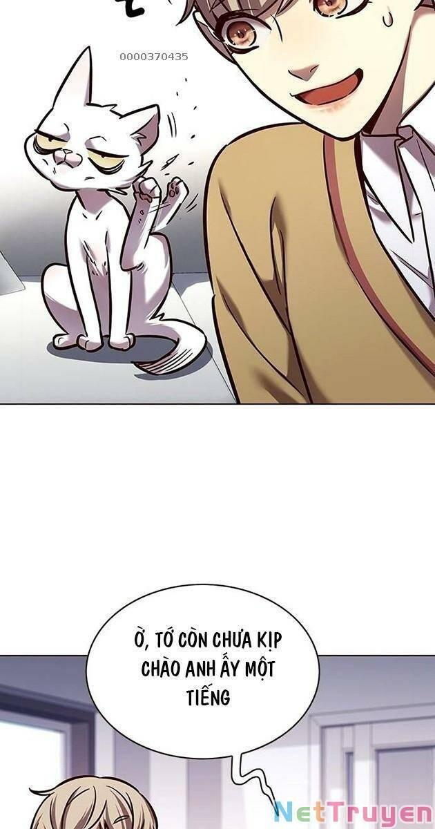 Hoá Thân Thành Mèo Chapter 229 - Trang 2