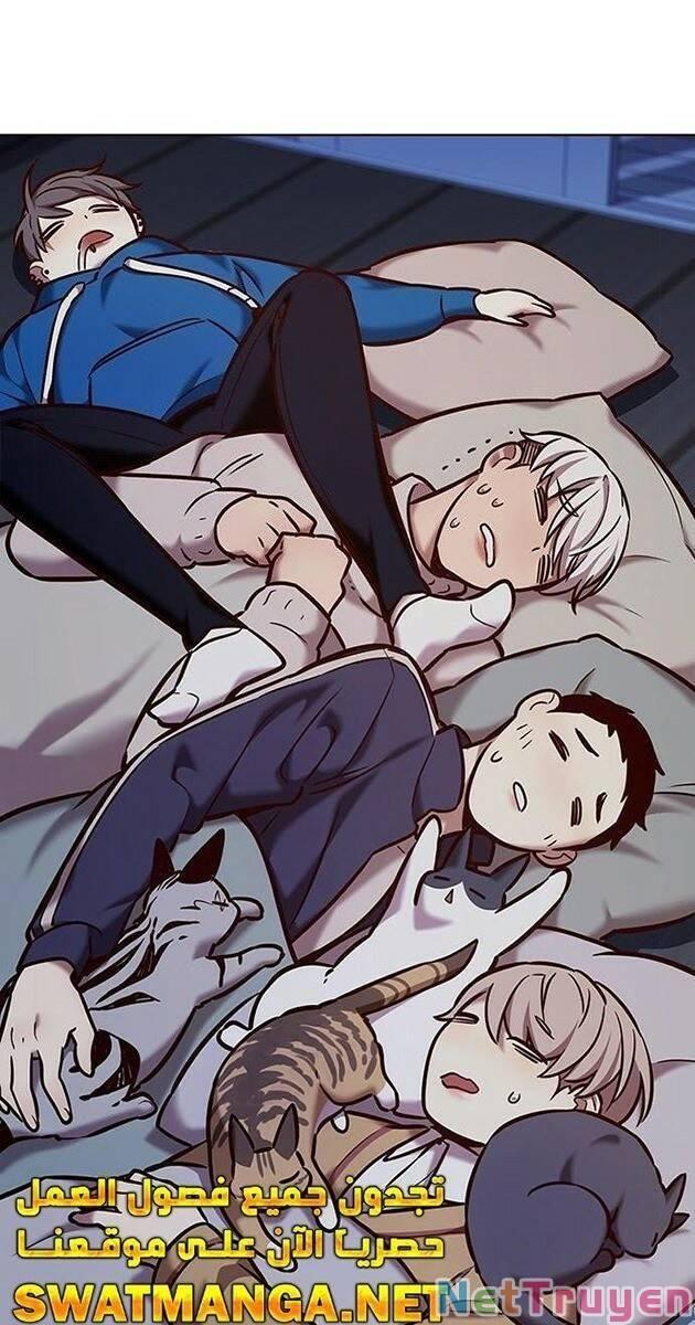 Hoá Thân Thành Mèo Chapter 229 - Trang 2