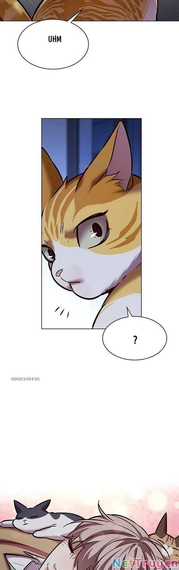 Hoá Thân Thành Mèo Chapter 229 - Trang 2