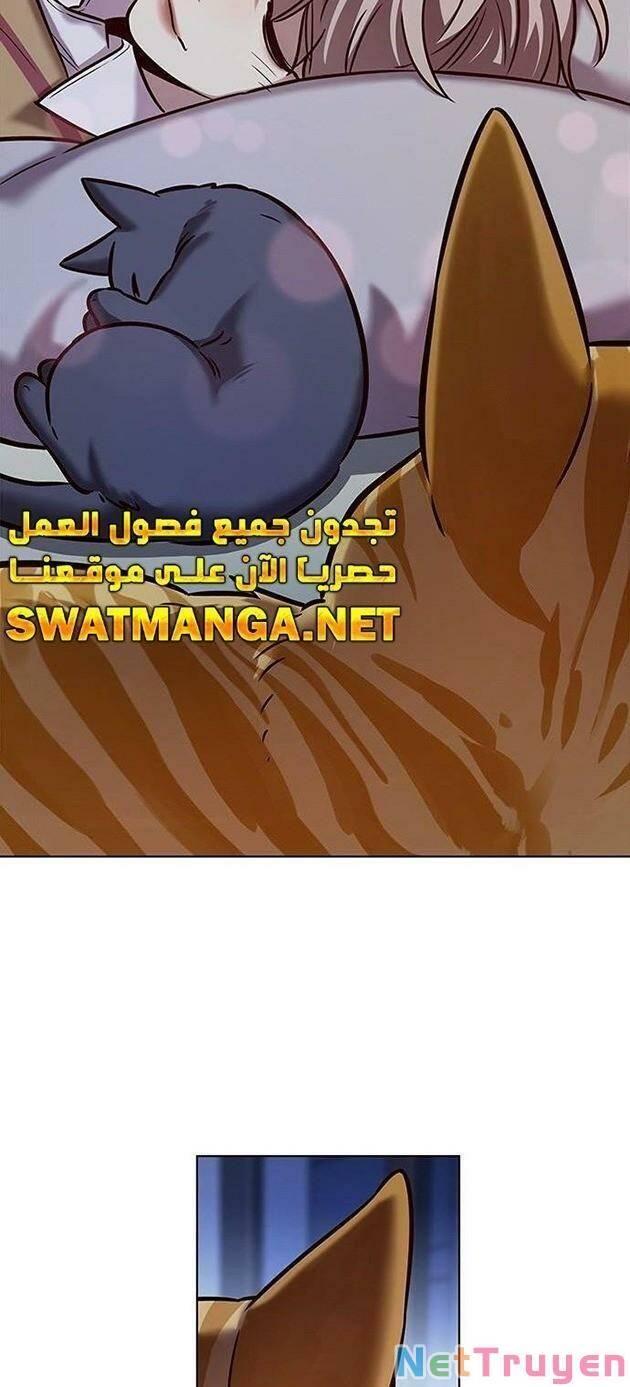 Hoá Thân Thành Mèo Chapter 229 - Trang 2