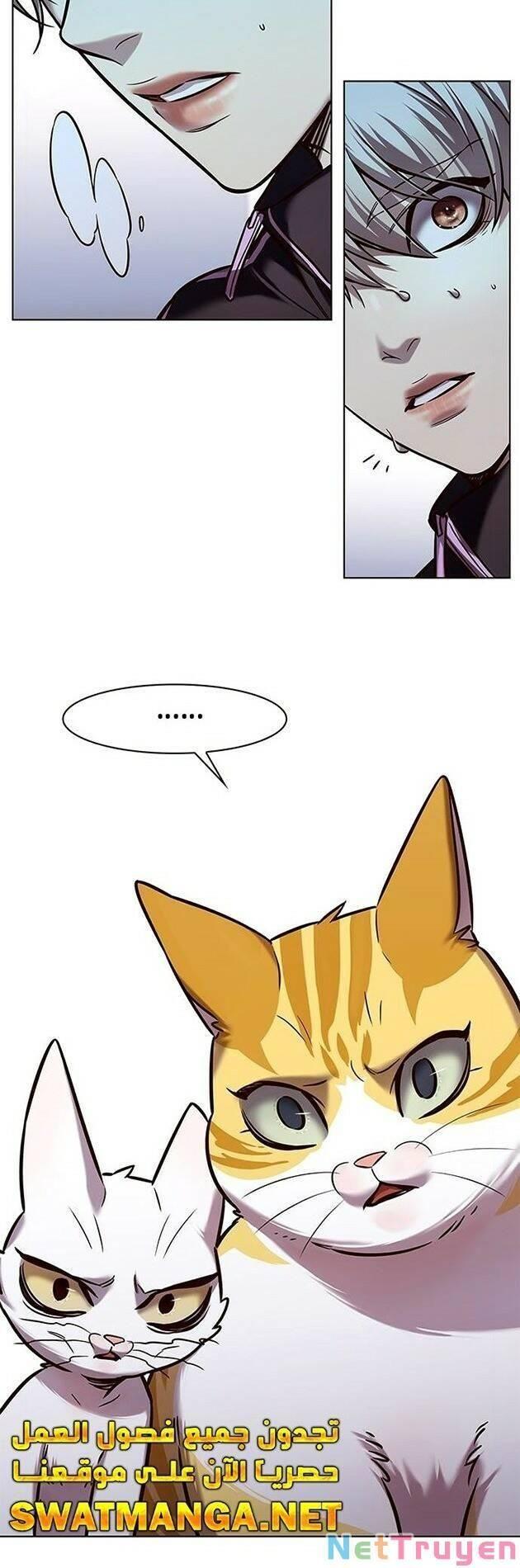 Hoá Thân Thành Mèo Chapter 229 - Trang 2
