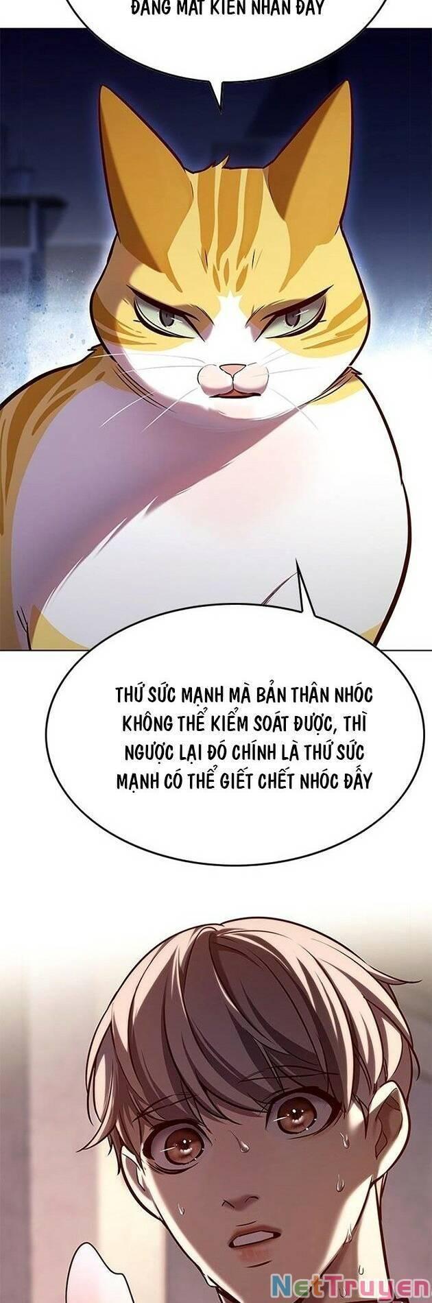 Hoá Thân Thành Mèo Chapter 229 - Trang 2