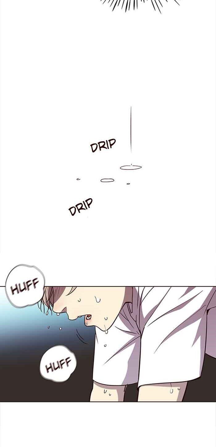 Hoá Thân Thành Mèo Chapter 23 - Trang 2