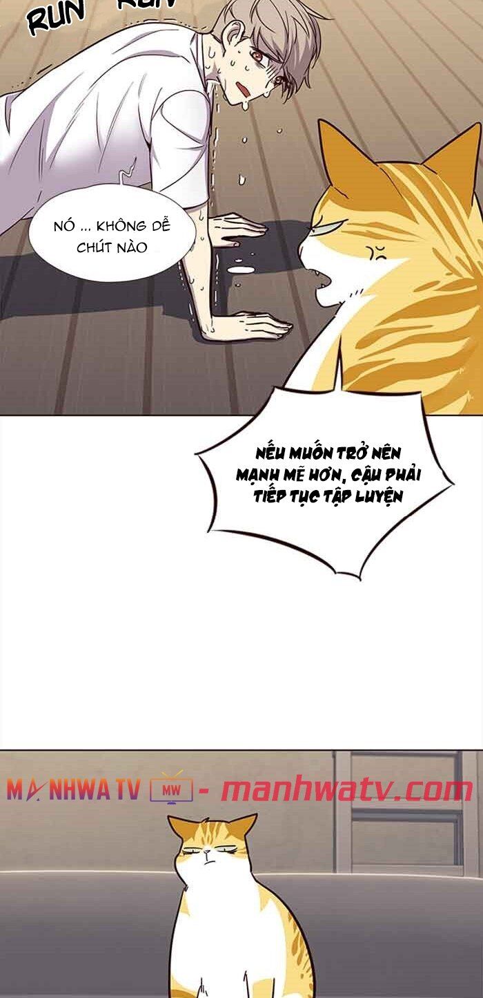 Hoá Thân Thành Mèo Chapter 23 - Trang 2