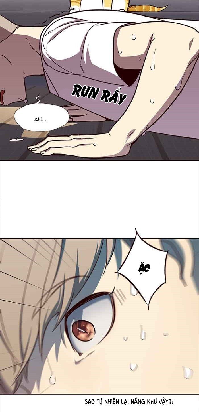 Hoá Thân Thành Mèo Chapter 23 - Trang 2