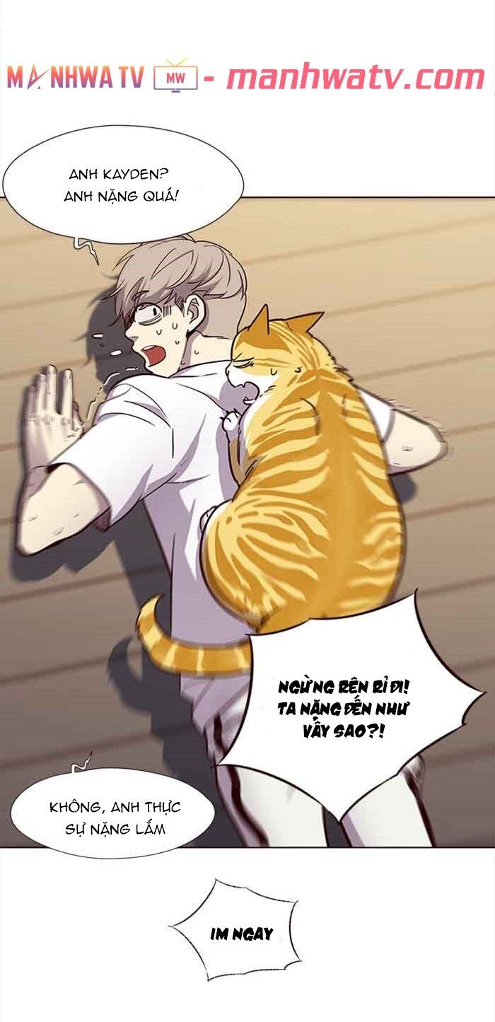 Hoá Thân Thành Mèo Chapter 23 - Trang 2