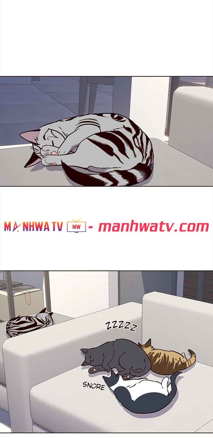 Hoá Thân Thành Mèo Chapter 23 - Trang 2