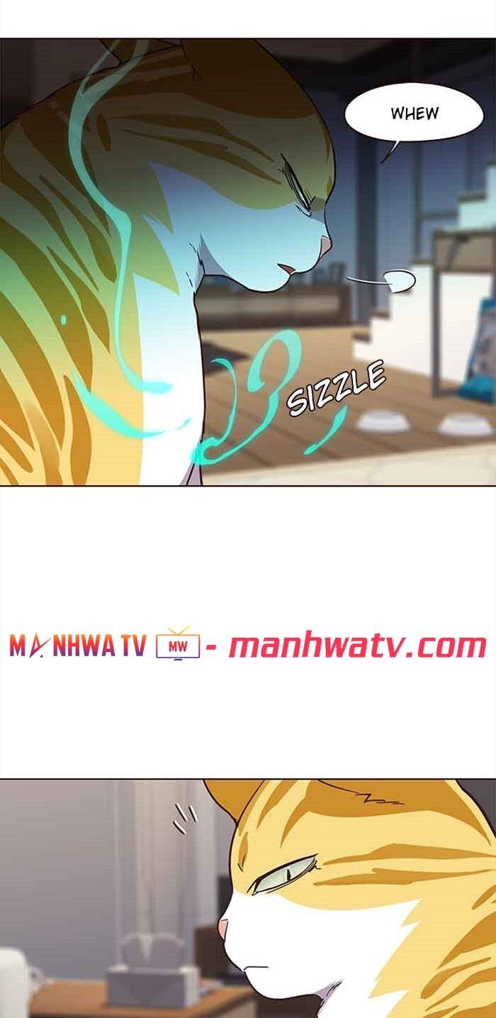 Hoá Thân Thành Mèo Chapter 23 - Trang 2