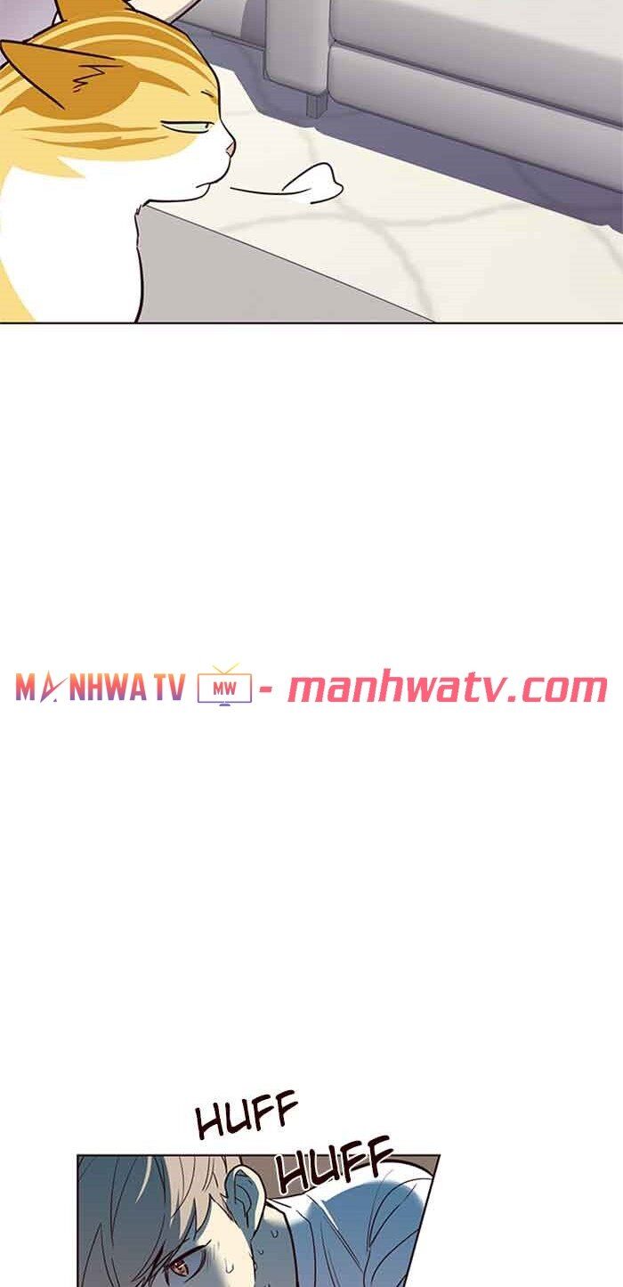 Hoá Thân Thành Mèo Chapter 23 - Trang 2