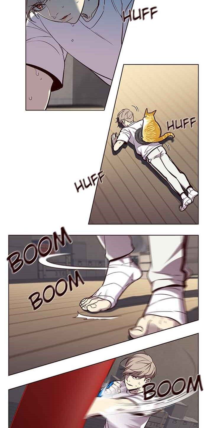 Hoá Thân Thành Mèo Chapter 23 - Trang 2