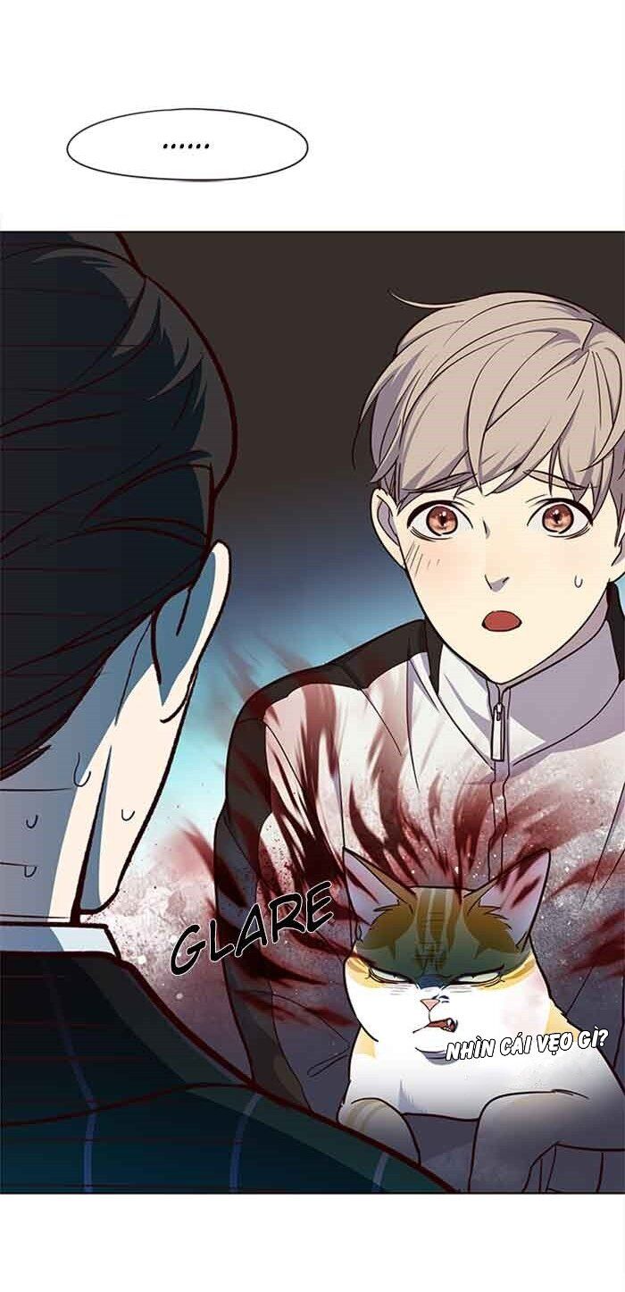 Hoá Thân Thành Mèo Chapter 23 - Trang 2