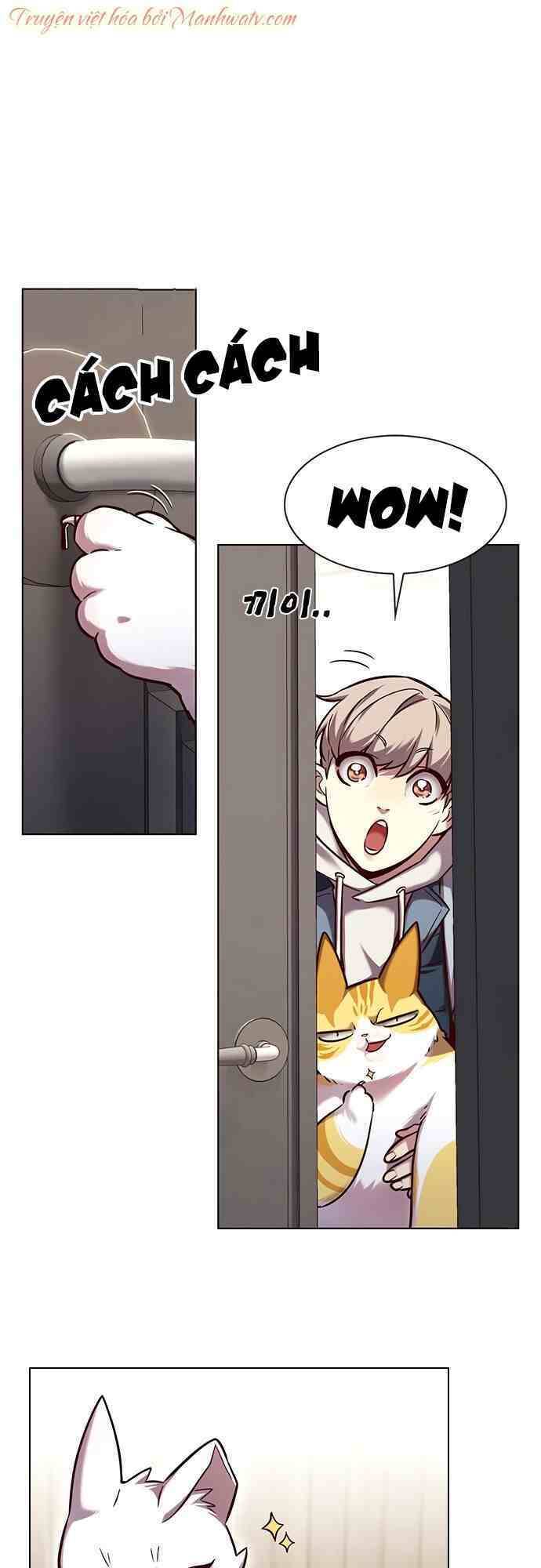 Hoá Thân Thành Mèo Chapter 231 - Trang 2