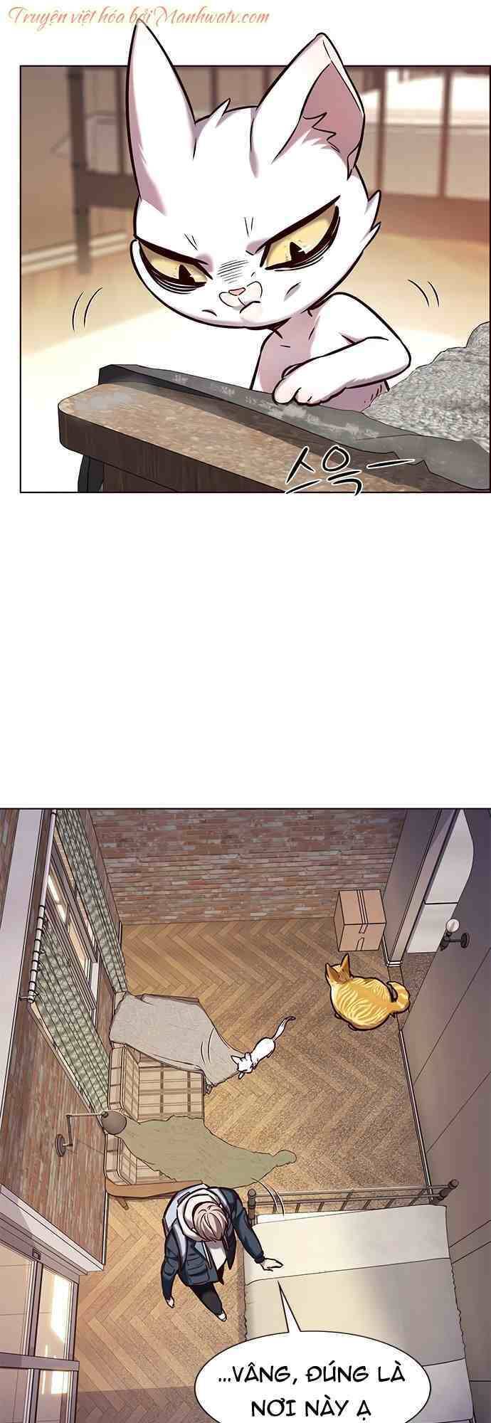 Hoá Thân Thành Mèo Chapter 231 - Trang 2