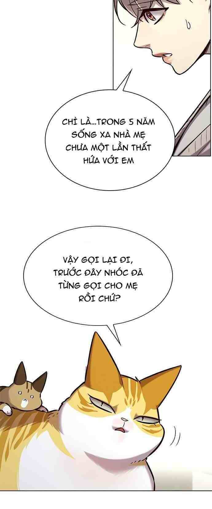 Hoá Thân Thành Mèo Chapter 231 - Trang 2