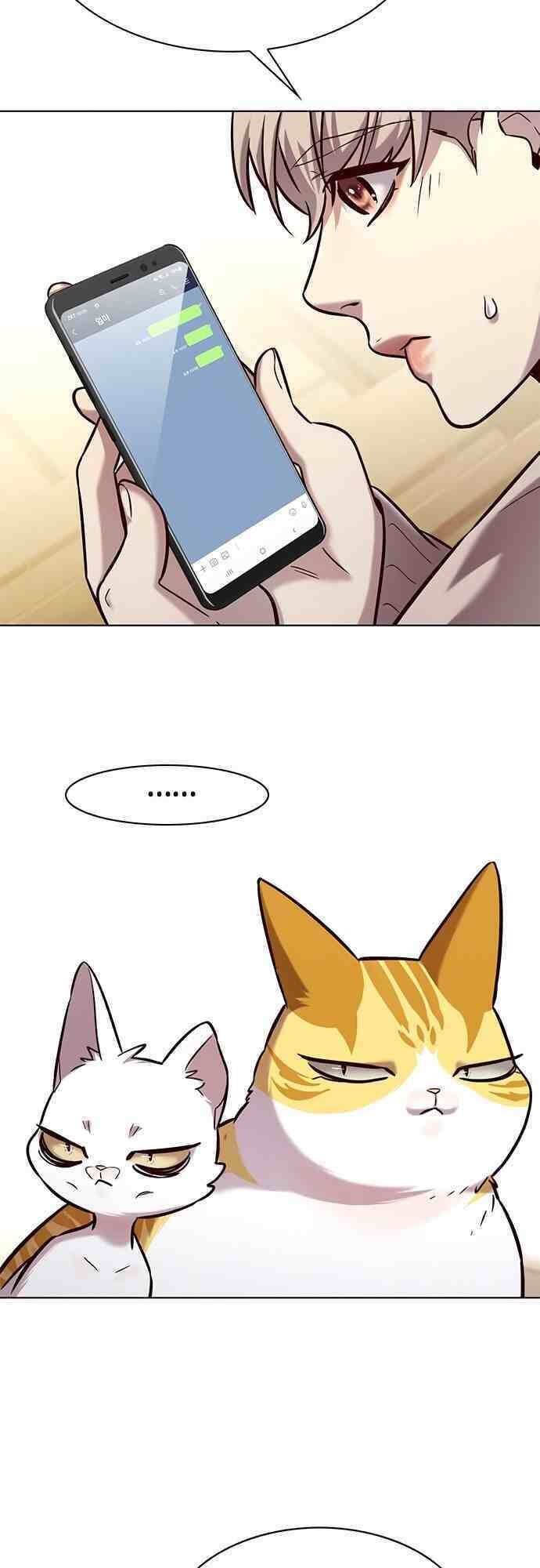 Hoá Thân Thành Mèo Chapter 231 - Trang 2
