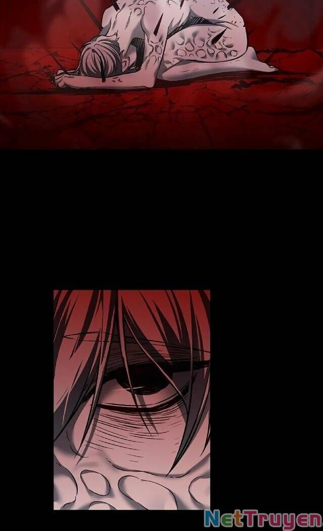 Hoá Thân Thành Mèo Chapter 238 - Trang 2