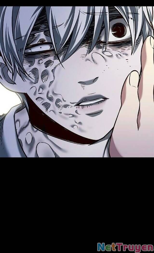 Hoá Thân Thành Mèo Chapter 238 - Trang 2