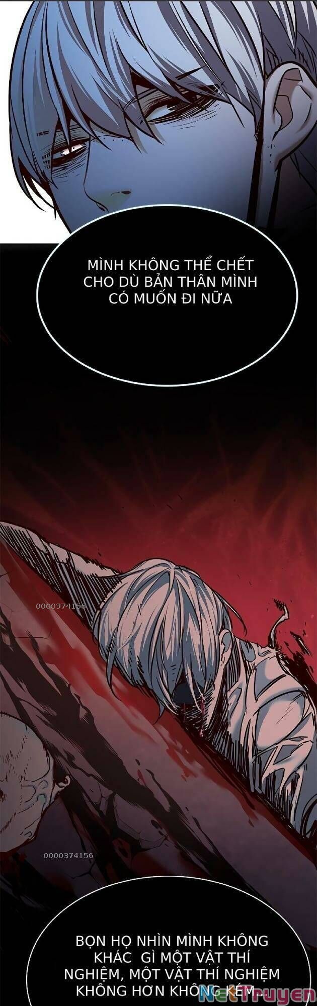 Hoá Thân Thành Mèo Chapter 238 - Trang 2