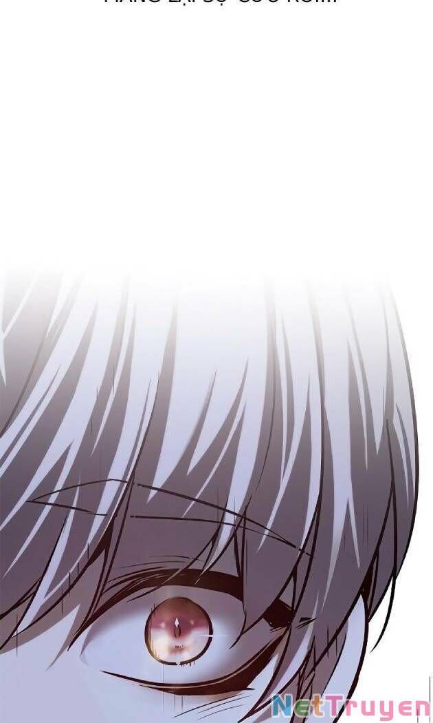 Hoá Thân Thành Mèo Chapter 238 - Trang 2