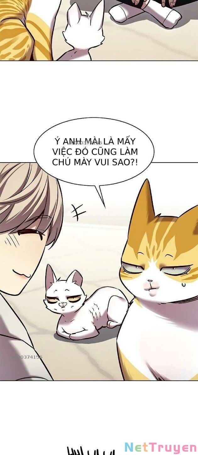 Hoá Thân Thành Mèo Chapter 239 - Trang 2