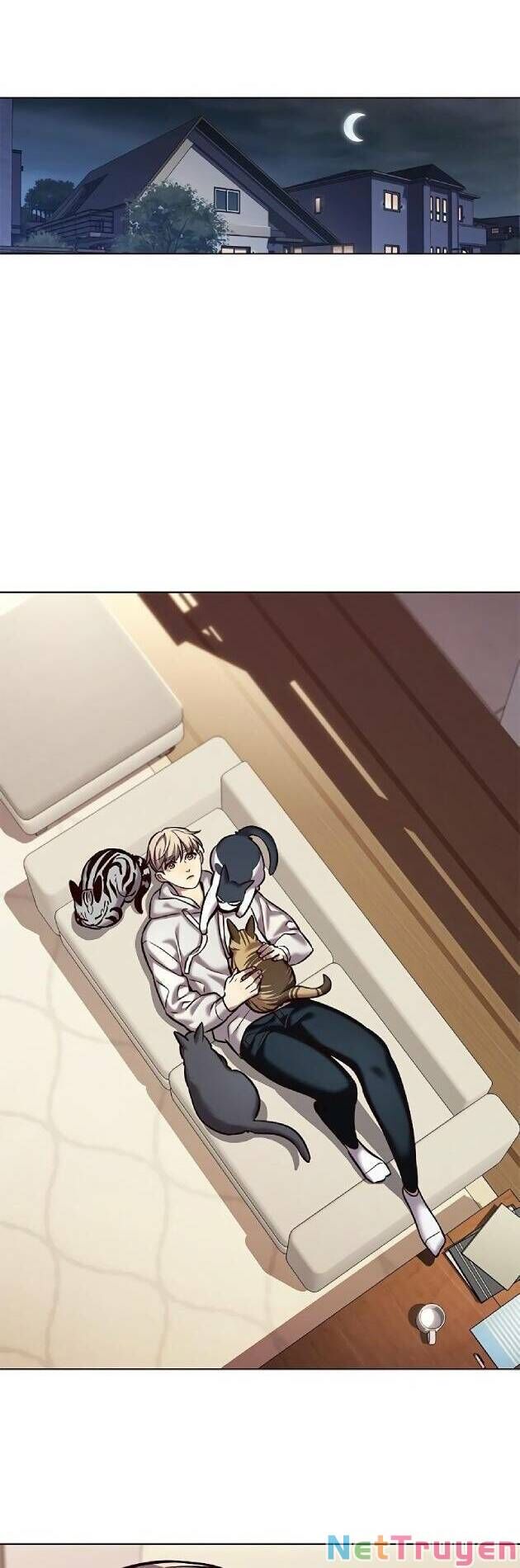 Hoá Thân Thành Mèo Chapter 239 - Trang 2