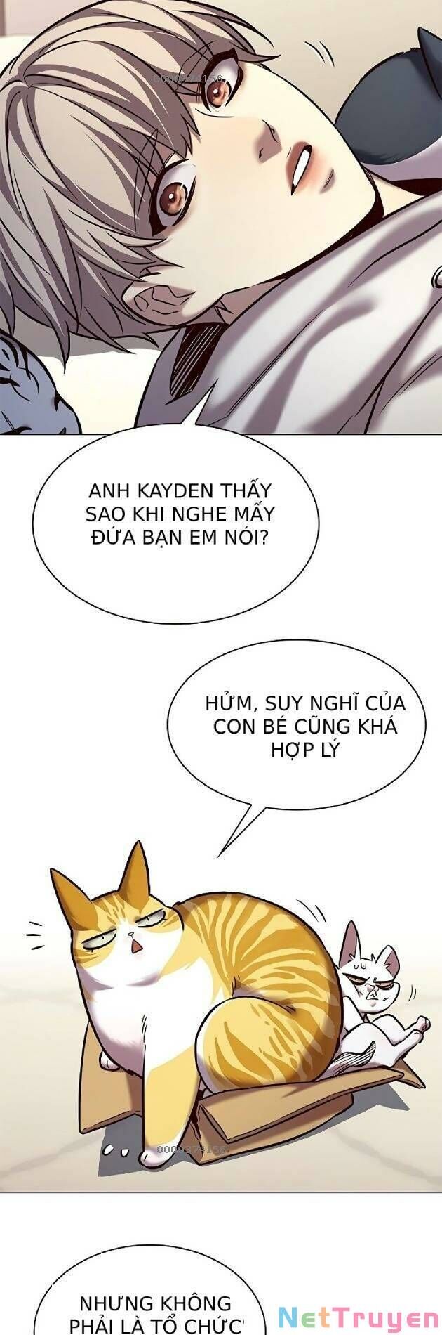 Hoá Thân Thành Mèo Chapter 239 - Trang 2