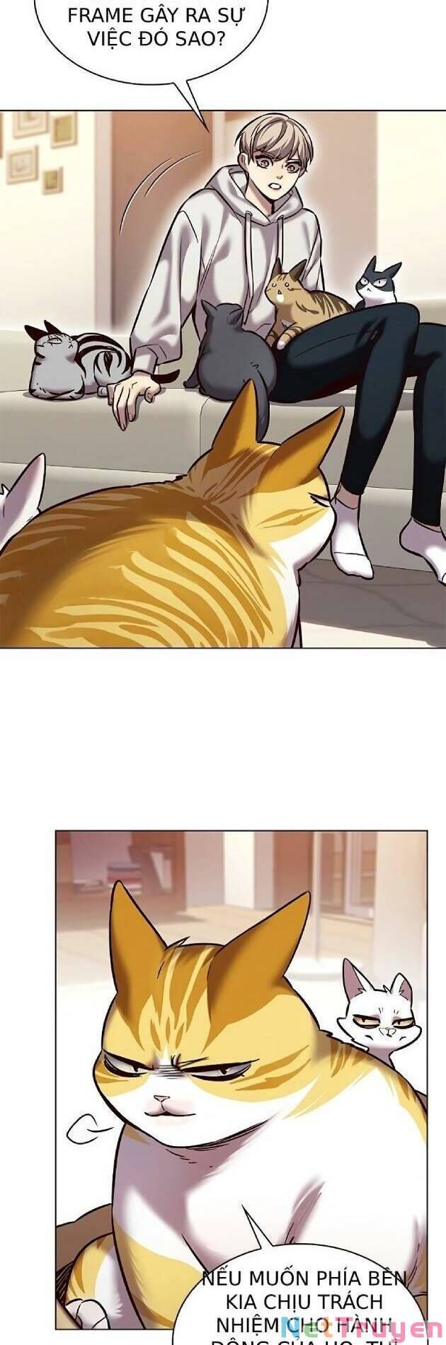 Hoá Thân Thành Mèo Chapter 239 - Trang 2