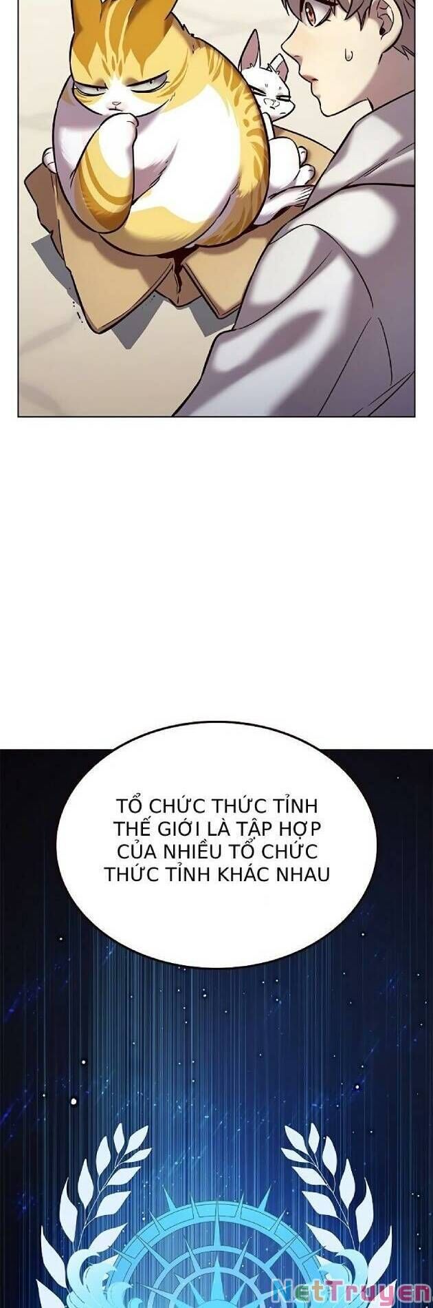 Hoá Thân Thành Mèo Chapter 239 - Trang 2