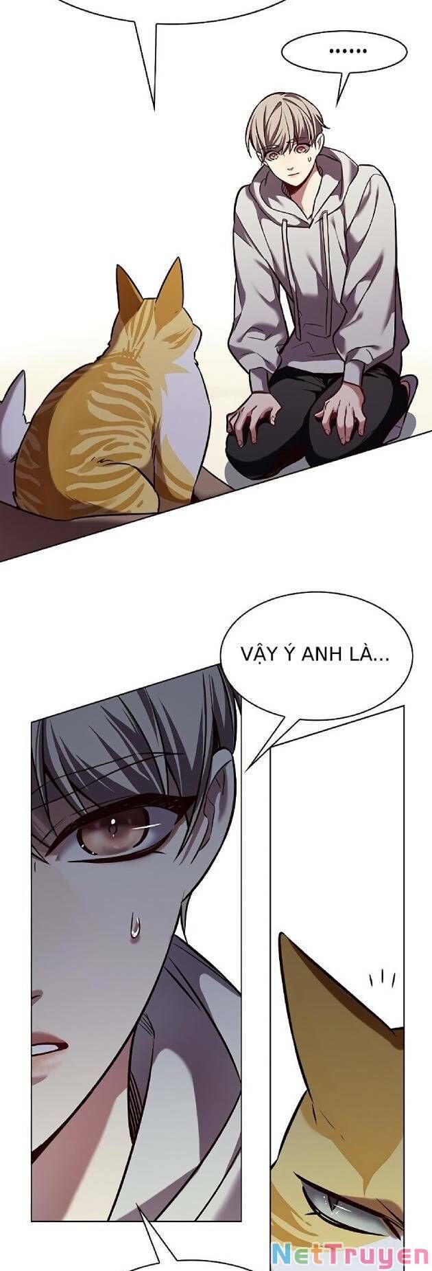 Hoá Thân Thành Mèo Chapter 239 - Trang 2