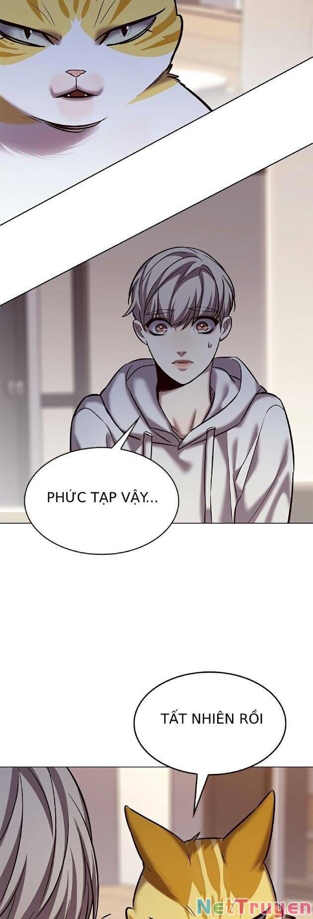 Hoá Thân Thành Mèo Chapter 239 - Trang 2