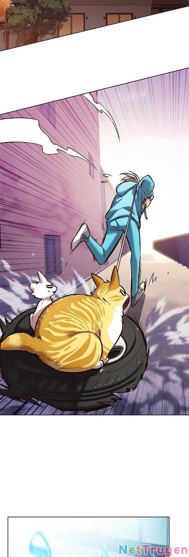 Hoá Thân Thành Mèo Chapter 239 - Trang 2