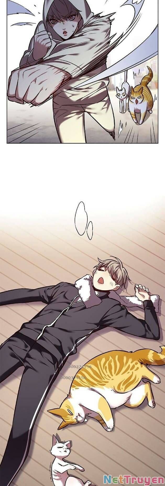 Hoá Thân Thành Mèo Chapter 239 - Trang 2