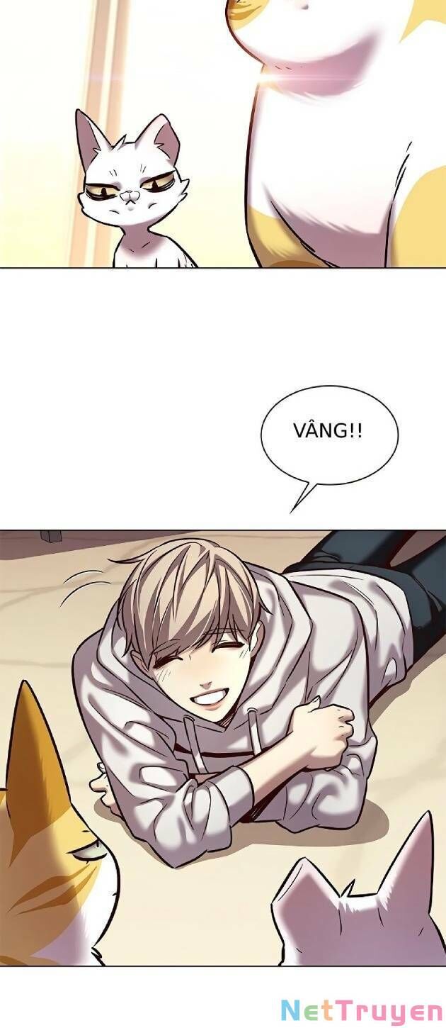 Hoá Thân Thành Mèo Chapter 239 - Trang 2