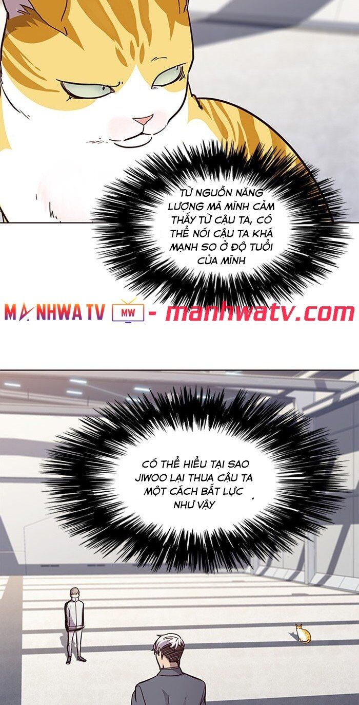 Hoá Thân Thành Mèo Chapter 24 - Trang 2