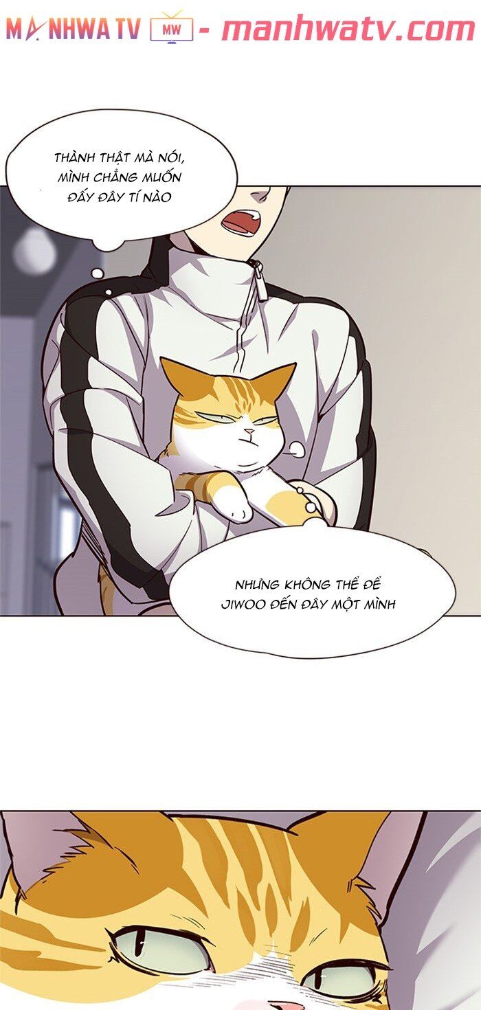 Hoá Thân Thành Mèo Chapter 24 - Trang 2