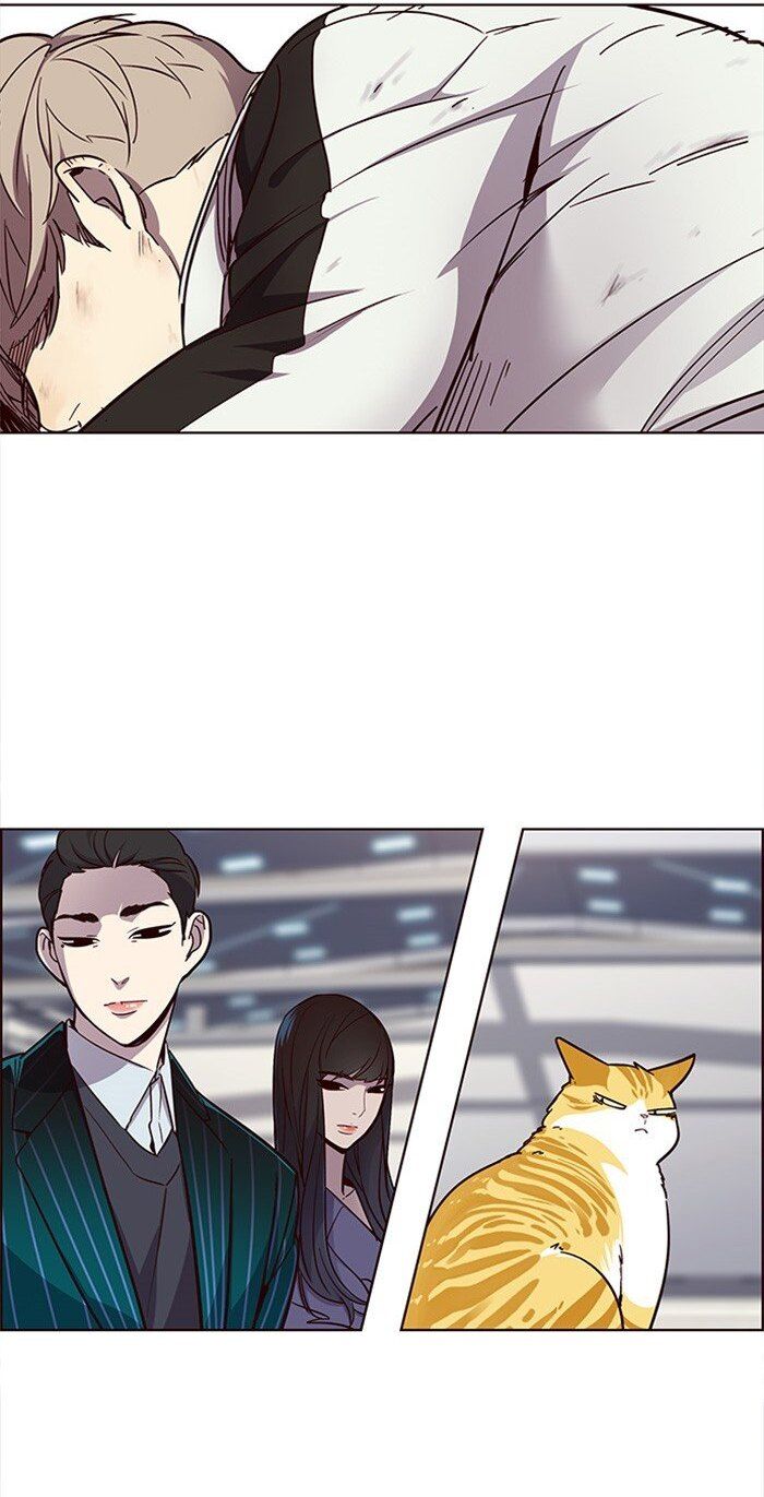 Hoá Thân Thành Mèo Chapter 24 - Trang 2