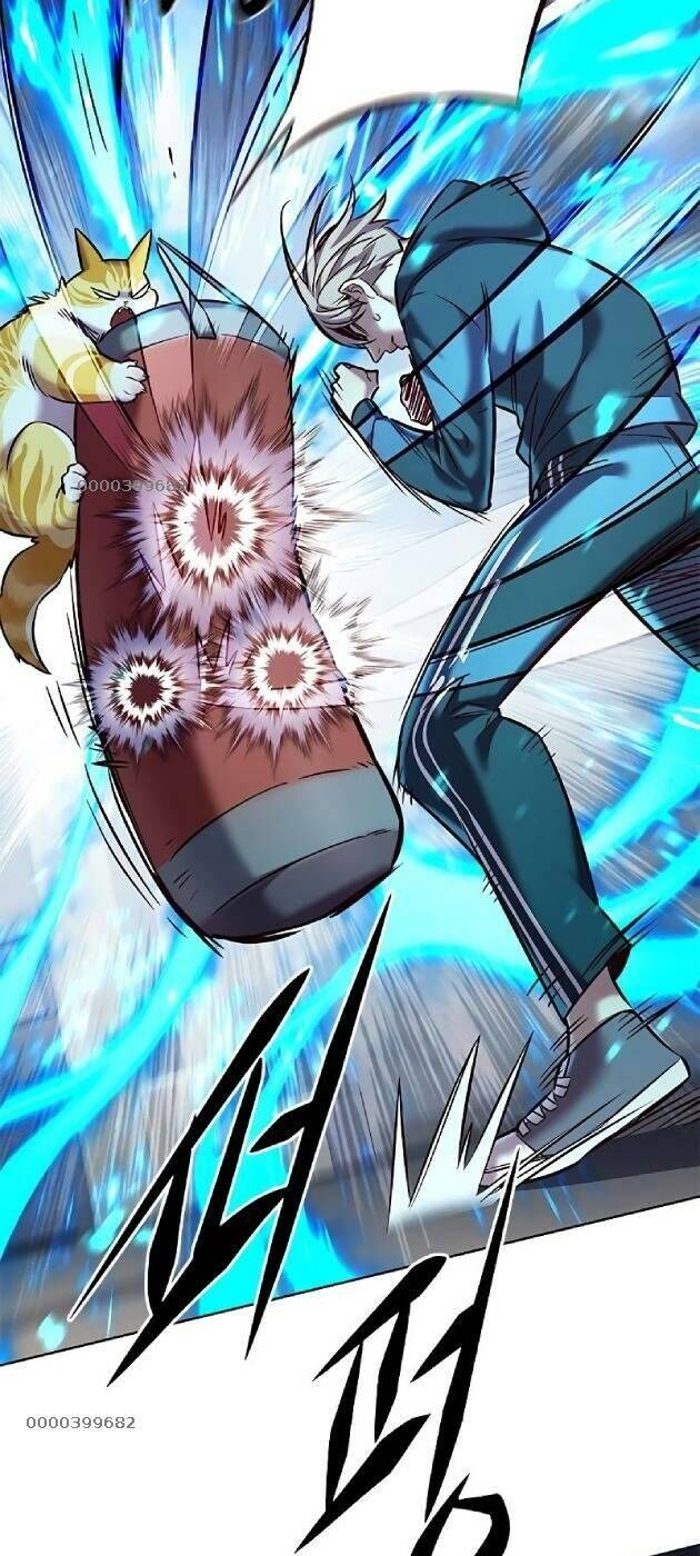 Hoá Thân Thành Mèo Chapter 241 - Trang 2